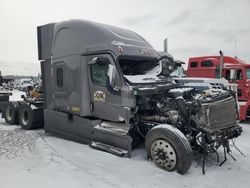 Freightliner Cascadia 126 salvage cars for sale: 2019 Freightliner Cascadia 126