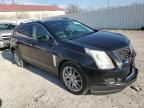 2013 Cadillac SRX Premium Collection