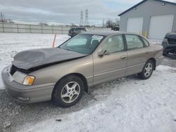 Toyota salvage cars for sale: 1998 Toyota Avalon XL