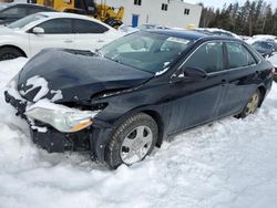 Toyota Camry salvage cars for sale: 2017 Toyota Camry LE