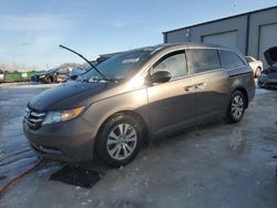 Honda Odyssey exl salvage cars for sale: 2014 Honda Odyssey EXL