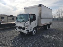 Isuzu npr hd salvage cars for sale: 2023 Isuzu NPR HD