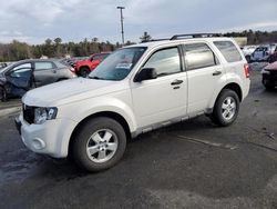 Ford Escape salvage cars for sale: 2009 Ford Escape XLT