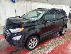 2020 Ford Ecosport SE for sale in Angola, NY
