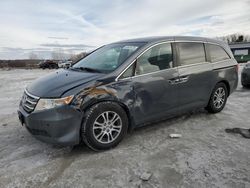 Honda Odyssey exl salvage cars for sale: 2013 Honda Odyssey EXL