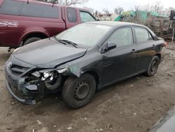 Toyota Corolla salvage cars for sale: 2011 Toyota Corolla Base