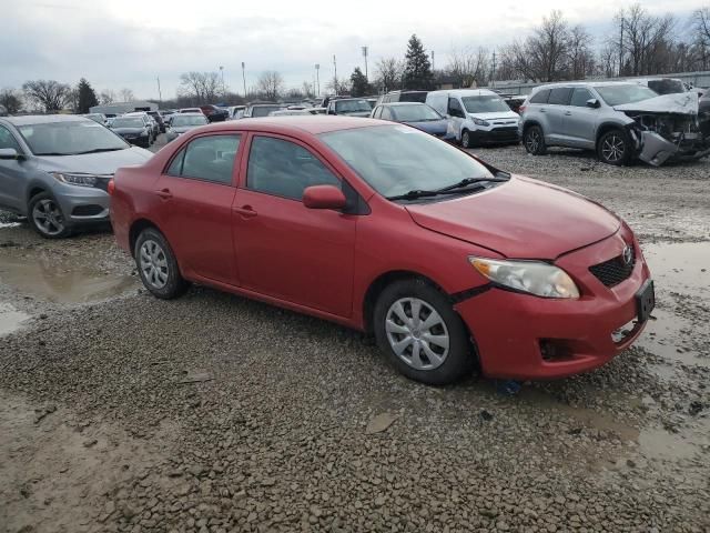 2010 Toyota Corolla Base