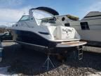 1996 Sea Ray Boat
