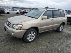 Toyota Highlander salvage cars for sale: 2007 Toyota Highlander Hybrid