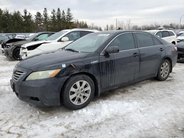 2009 Toyota Camry Hybrid