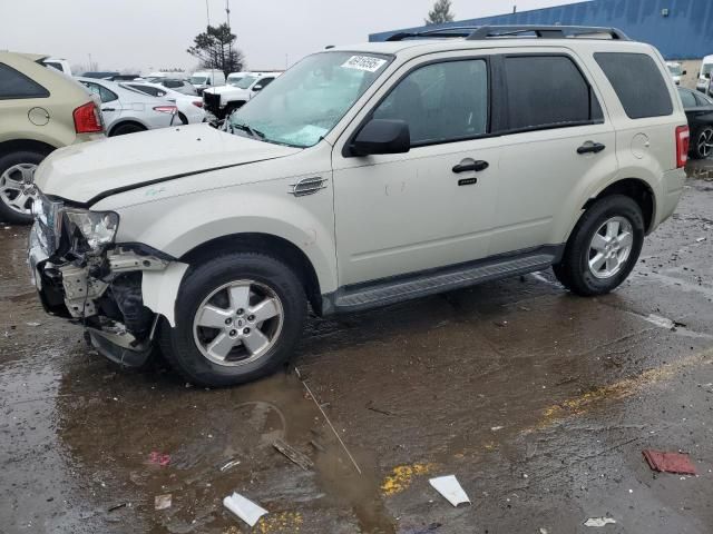 2009 Ford Escape XLT