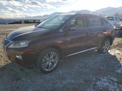 Lexus salvage cars for sale: 2014 Lexus RX 350 Base