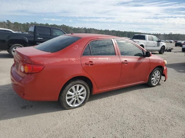 2009 Toyota Corolla Base