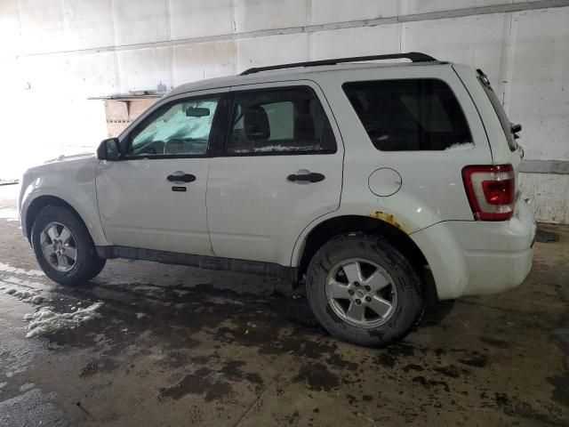 2012 Ford Escape XLT