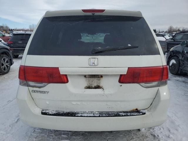 2008 Honda Odyssey EXL