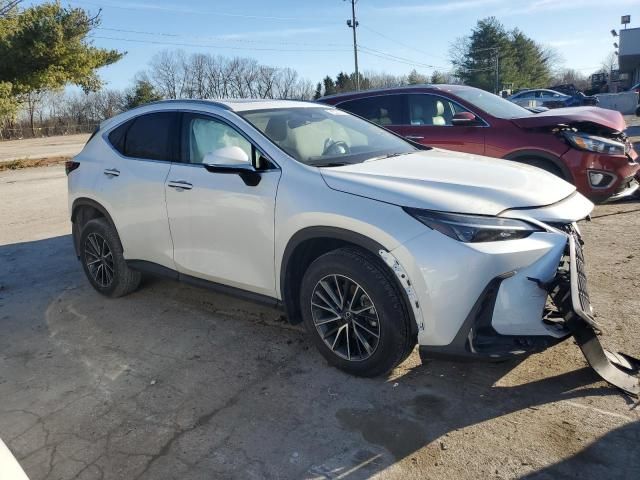 2024 Lexus NX 350H Base