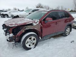 Toyota rav4 salvage cars for sale: 2024 Toyota Rav4 XLE