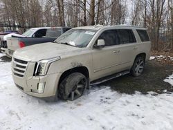 Cadillac salvage cars for sale: 2015 Cadillac Escalade Premium
