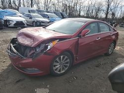 Hyundai Sonata salvage cars for sale: 2014 Hyundai Sonata SE