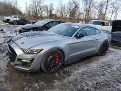 2020 Ford Mustang Shelby GT500 for sale in Marlboro, NY