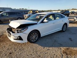 Hyundai Sonata Vehiculos salvage en venta: 2019 Hyundai Sonata SE