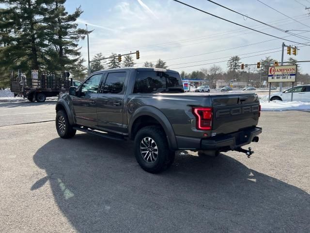 2019 Ford F150 Raptor