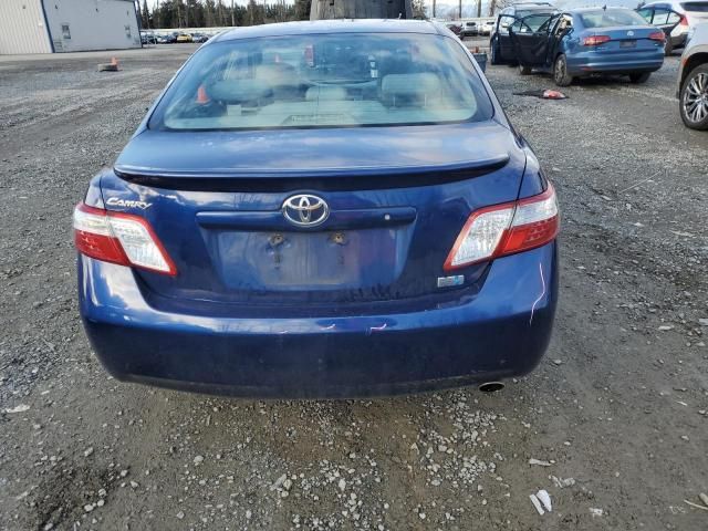 2009 Toyota Camry Hybrid