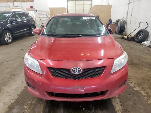 2010 Toyota Corolla Base