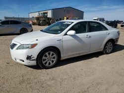 2008 Toyota Camry Hybrid for sale in Amarillo, TX