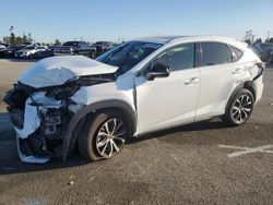 Salvage cars for sale from Copart Rancho Cucamonga, CA: 2017 Lexus NX 200T Base