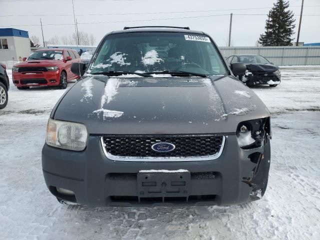 2003 Ford Escape XLT