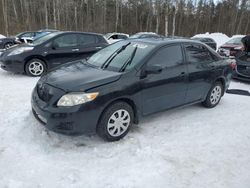 2010 Toyota Corolla Base en venta en Cookstown, ON