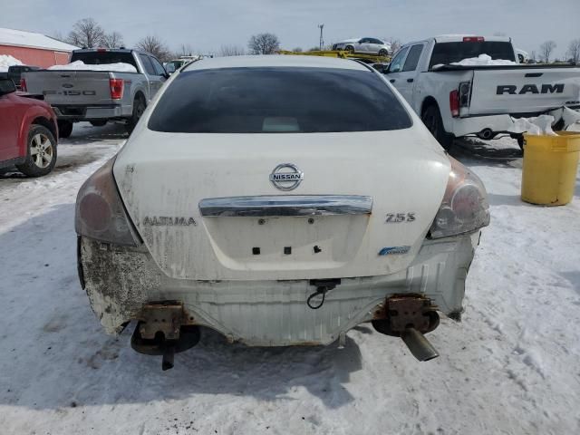 2010 Nissan Altima Base