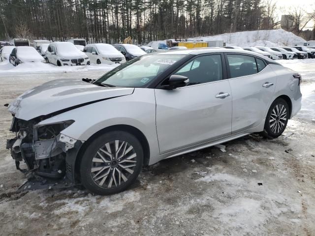 2023 Nissan Maxima SV