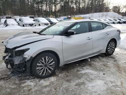 Nissan salvage cars for sale: 2023 Nissan Maxima SV