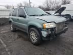 2005 Ford Escape XLS