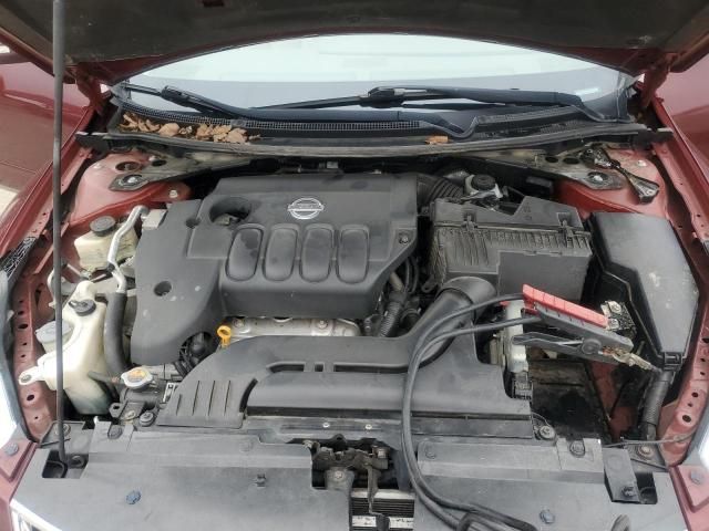 2010 Nissan Altima Base