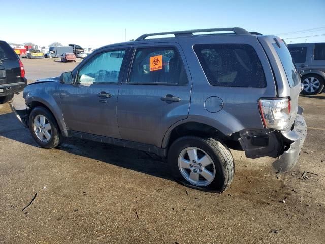 2009 Ford Escape XLT