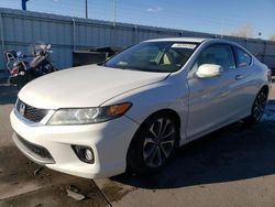 2013 Honda Accord EXL for sale in Littleton, CO