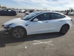 Tesla salvage cars for sale: 2023 Tesla Model 3