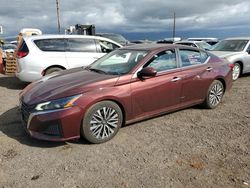 Salvage cars for sale from Copart Kapolei, HI: 2023 Nissan Altima SV