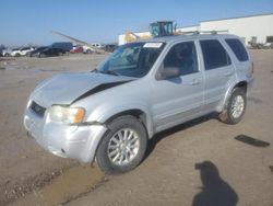 Ford Escape salvage cars for sale: 2004 Ford Escape Limited