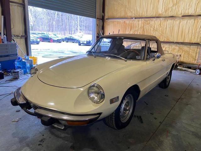 1973 Alfa Romeo Spider