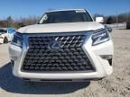 2023 Lexus GX 460 Luxury