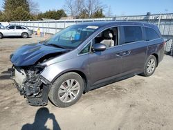 Honda Odyssey exl salvage cars for sale: 2016 Honda Odyssey EXL