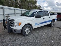 2014 Ford F150 Supercrew en venta en Riverview, FL