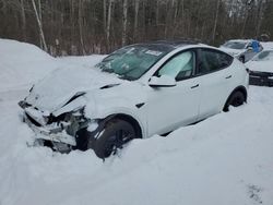 Tesla Model y salvage cars for sale: 2024 Tesla Model Y