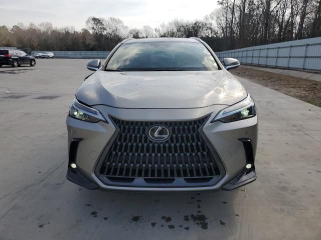 2023 Lexus NX 350