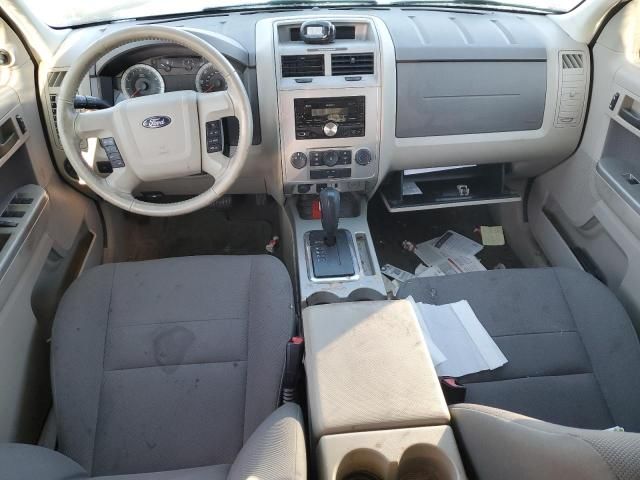 2009 Ford Escape XLT