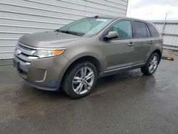 Ford Edge salvage cars for sale: 2013 Ford Edge SEL